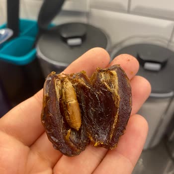 Simbat Kuruyemiş Küflü Hurma Ve Bozuk Hurma