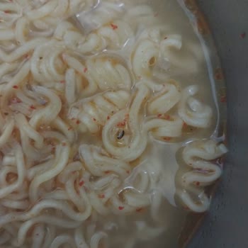 Noodle House Noodle Dan Böcek Çıktı