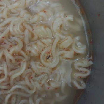 Noodle House Noodle Dan Böcek Çıktı