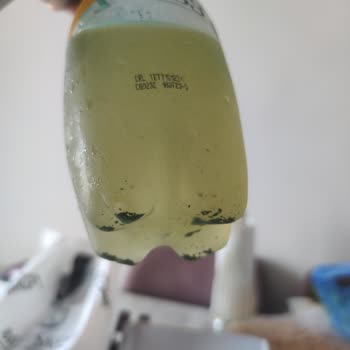 Schweppes Bozuk Ürün Satmak Ne Kadar Etik?