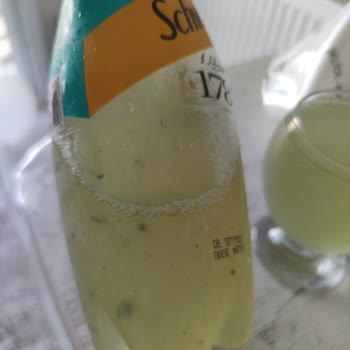 Schweppes Bozuk Ürün Satmak Ne Kadar Etik?