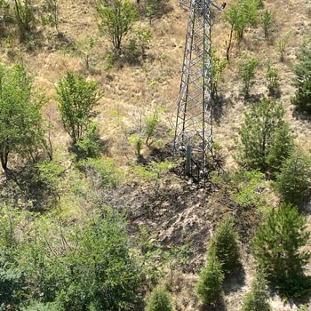 Yine Yangın, Yine Bedaş Elektrik Direği