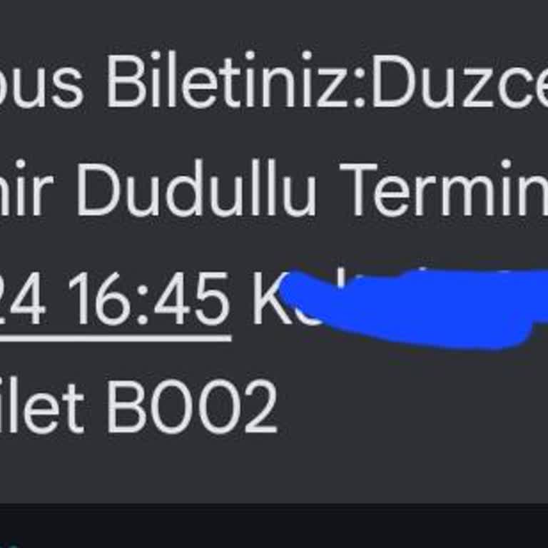 Kamil Koç'tan "ulaşamama" Hizmeti