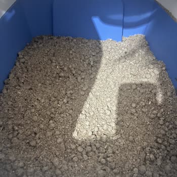 Big Cat Kedi Kumları (Instagram: bigcatturkiye) Bozuk Kedi Kumu Ve İlgisiz Müşteri Hizmetleri