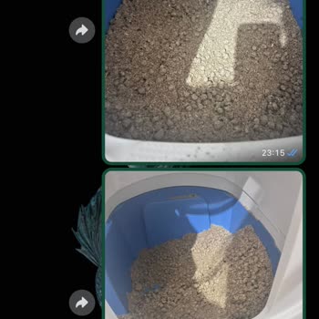 Big Cat Kedi Kumları (Instagram: bigcatturkiye) Bozuk Kedi Kumu Ve İlgisiz Müşteri Hizmetleri