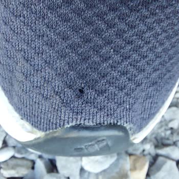 Adidas Ayakkabı Açılma Sorunu