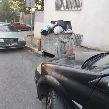 Pendik Belediyesi Aşırı Çöp Kokusu Ve Sineklenme Var