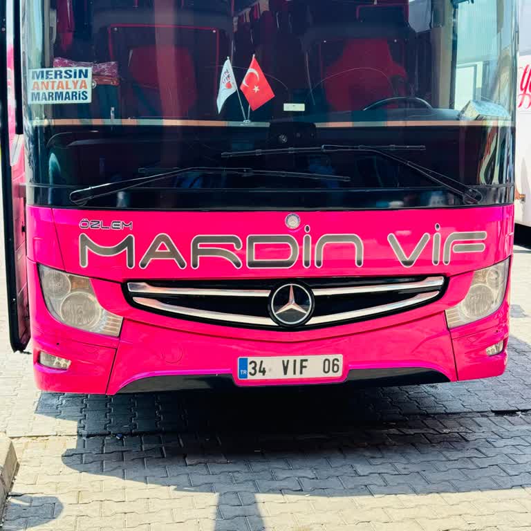 Özlem Mardin Vif İnsaf Vicdan Yok