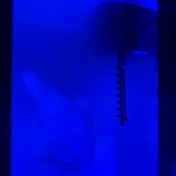 Boza Akvaryum Yanılttı