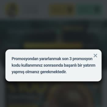 Betine D. O. L. A. N. D. I. R. I. C. I Bir Site