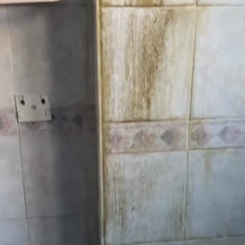 Evde Temizlik Var Sitesi Resmen Hezimet