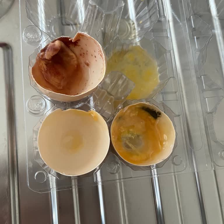 Yemeksepeti Bizimsarıköy Bozuk Yumurta