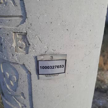MEPAŞ Elektrik Direği İlgilenmediler