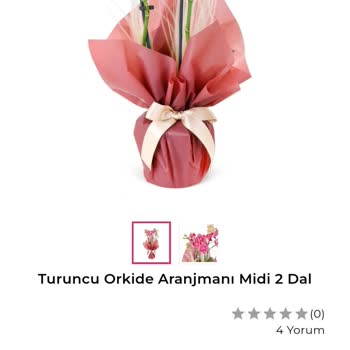 İstanbul Çiçekleri'nin Çürük Gelen Orkidesi!