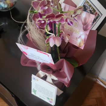 İstanbul Çiçekleri'nin Çürük Gelen Orkidesi!