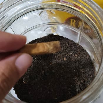 Çaykur Çaydan İzmarit Cıktı