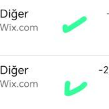 Wix.com Kartımdan İzinsiz Para Çekimi!