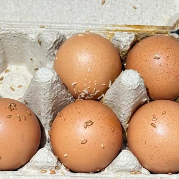 Migros Son Kullanma Tarihi Geçmiş Ürün