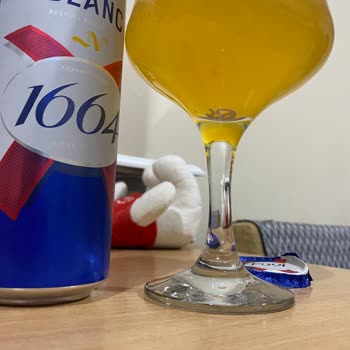 Blanc 1664 (Tuborg) Biranın İçinde Beyaz Parçacıklar