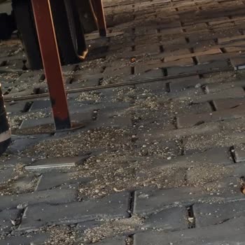 Wlifehouse Büyük Pişmanlık, Bir Daha Asla