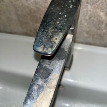 Casa Tua Butik Otel Erdek Casa Tua Erdek Otel Şikayeti