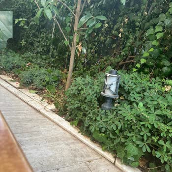 L'etoile Beach Hotel Müşteri Memnuniyeti Sıfır!