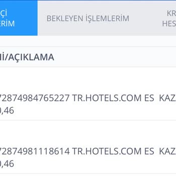 Hotels.com Aynı Odayı 2 Kere Sattılar