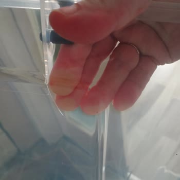 ebebek Hasarlı Ürün Değişimi