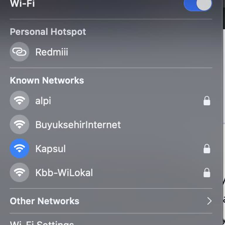 Vivo Y36 Hotspot Problem MacBook kann Internet nur über Safari nutzen