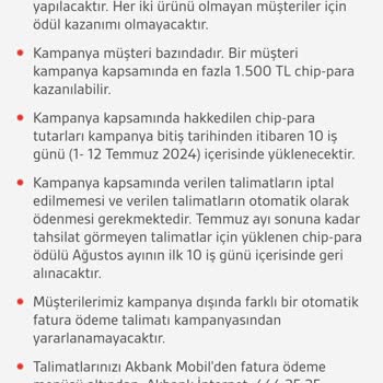 Akbank'ın Çip Para Kampanyasında Yaşanan Gecikme