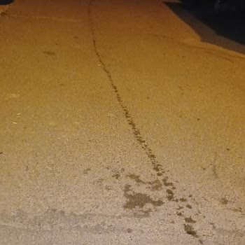 Tuzla Belediyesi Çöp Konteyneri Ve Çöp Kamyonu Suyunu Akıtıyor
