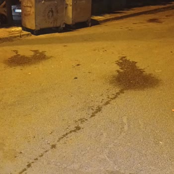 Tuzla Belediyesi Çöp Konteyneri Ve Çöp Kamyonu Suyunu Akıtıyor