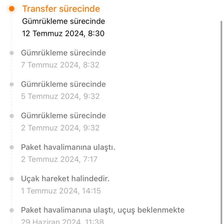 Temu Alişveriş Gümrük Sorunu