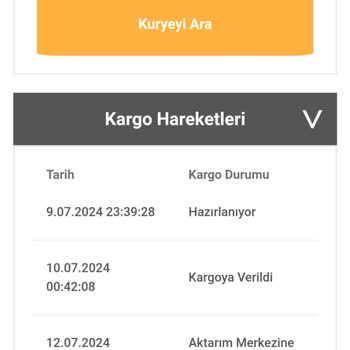 Bir Günde Kargonun Kargomu Teslim Edememe Problemi
