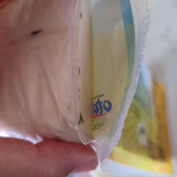 Otat Gıda Aldığım Kaşarın Küflü Oluşu.