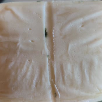 Otat Gıda Aldığım Kaşarın Küflü Oluşu.