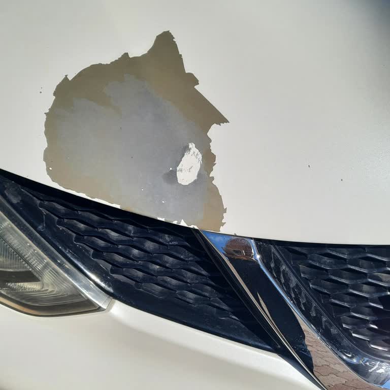 Nissan Qashqai Kronik Boya Sorunu