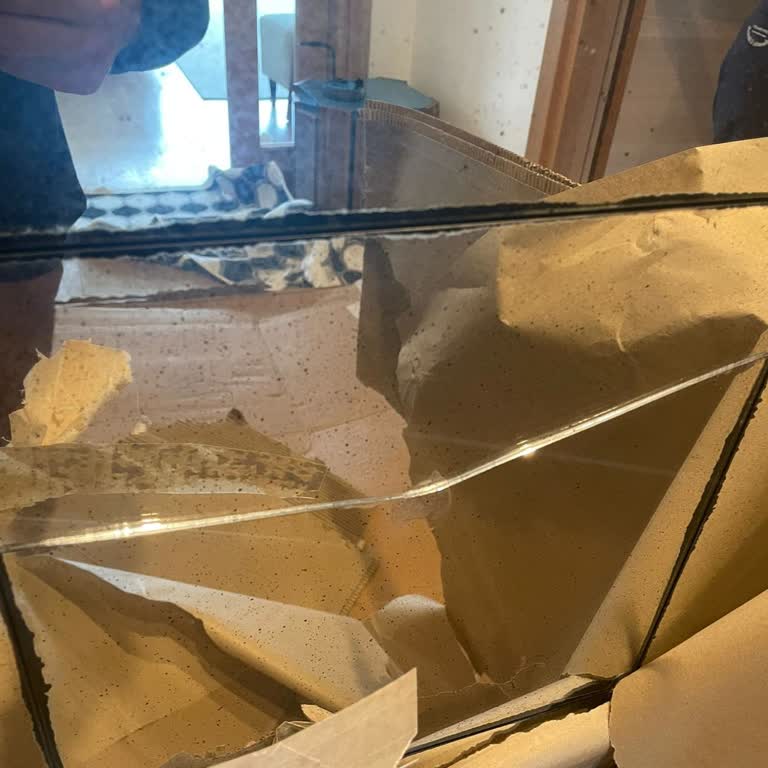 Zara Turkey Return Process And Customer Service Problem