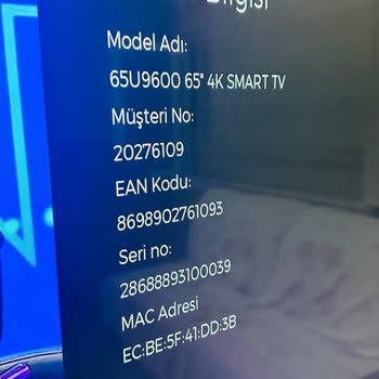 Vestel TV Hatadır! Bu Kadar Basit Bunu S Harfli Kullanmayan Anlamaz