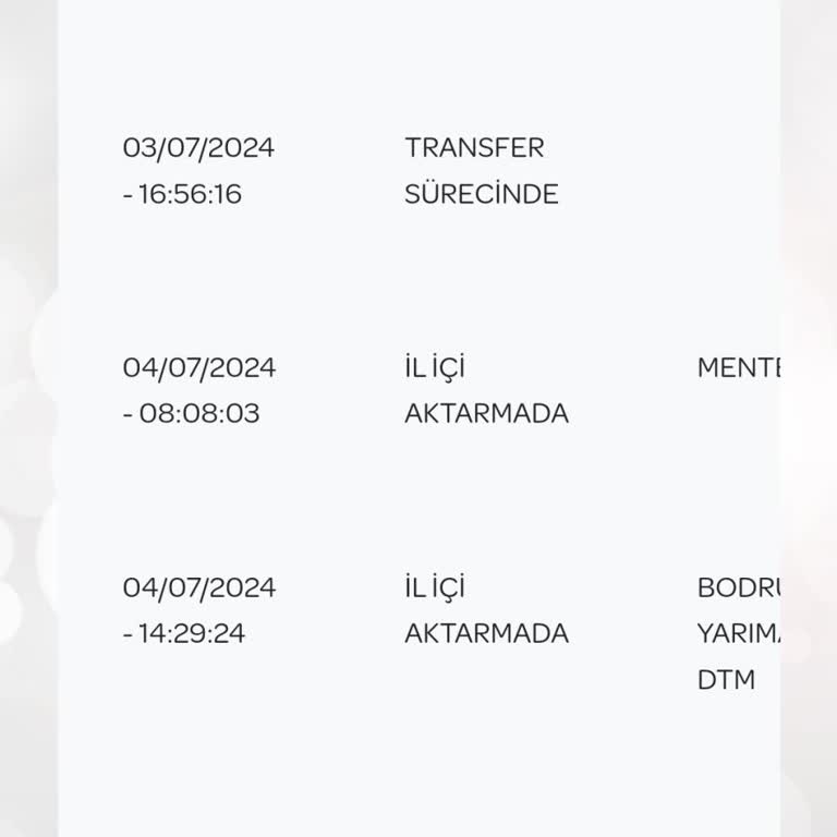 PTT Kargo Teslim Sürecinin Gecikmesi