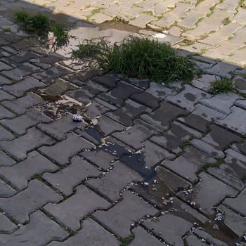 Balıkesir Büyükşehir Belediyesi Sokaktan Kanalizasyon Akıntısı
