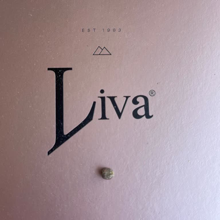 Liva Pastanesi (livashop.com) Liva'dan Aldığımız Baklavanın İçinden Taş Çıktı!