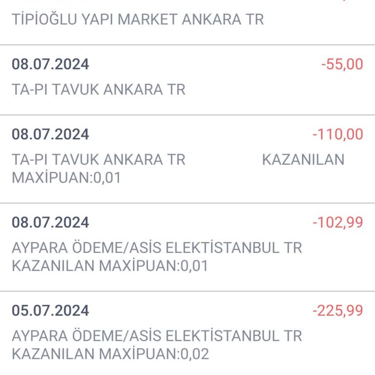 İş Bankası Bilgim Dışı Harcama