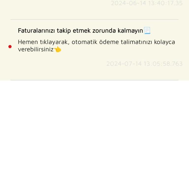 Millenicom Taksitle Yansıtılmayan Fatura
