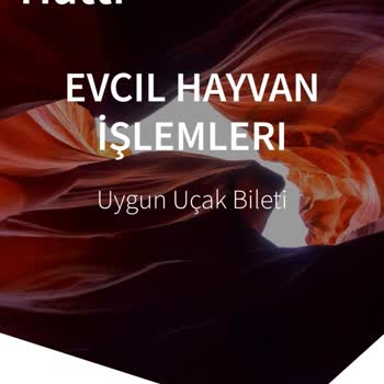 Onlinebilethatti.com Müşteriyi Yanıltma Yanlış Bilgi Verme