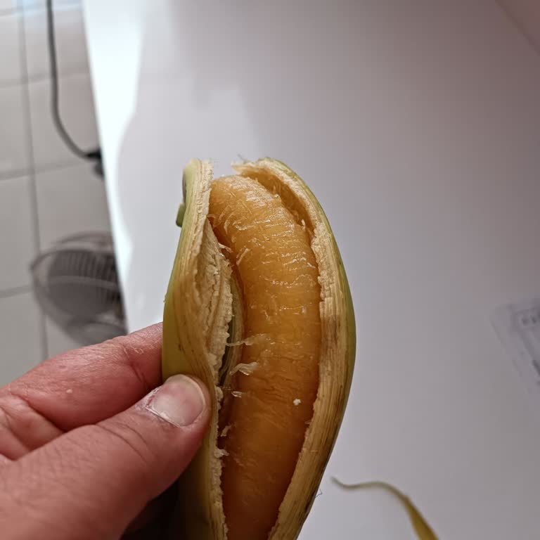 Migros Sanal Market Çürümüş Ürün