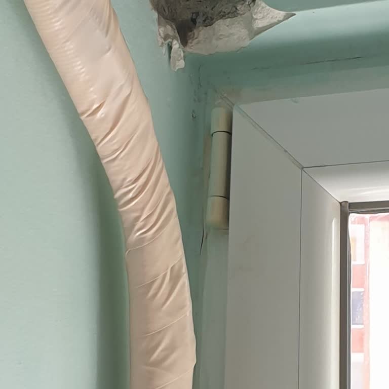 Baymak Çözüm Getirmeyip İlgisiz