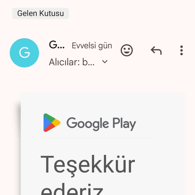 Google Play Veybo Mesajlarım Ulaşmıyor