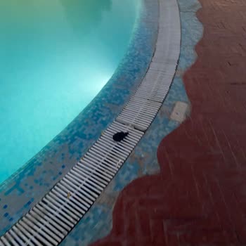 Historical Museum Resort Museum Resort SPA Otel'de Hijyen Ve Hizmet Sorunları