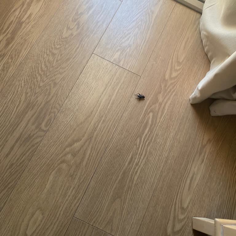 Royal Teos Resort Şikayetçiyim Hizmet Sıfır